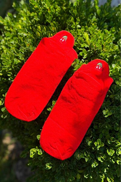 LouSocks جوارب رياضية مطرزة بالكرز للجنسين