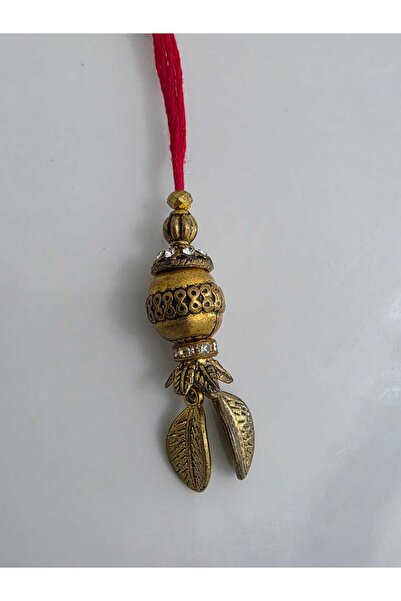 NirVee Rakhi Combo (Pack of 2)