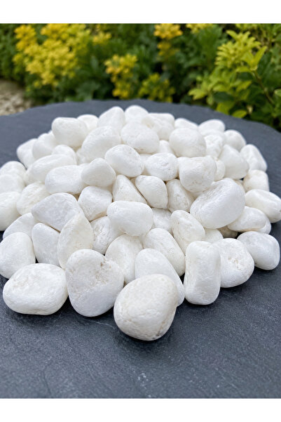 Genel Markalar Botanik Beyaz Taş 1-3 cm – 20 Kg Dekoratif Doğal Peyzaj Taşı
