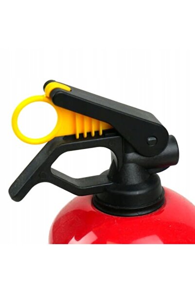 NO BRAND Pulbere extinctor auto 1kg cu certificat |   produs Polonia