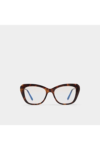 Aldo Suki / Sunglasses