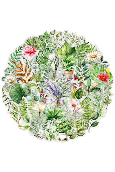 Choice 50pcs 50Pcs Natural Plant Illustration Cartoon Graffiti Stickers Phone...