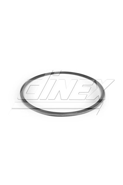 Dinex Garnitura, Racord Evacuare 2Al008 Daf Cf/Xf Vdl Futura