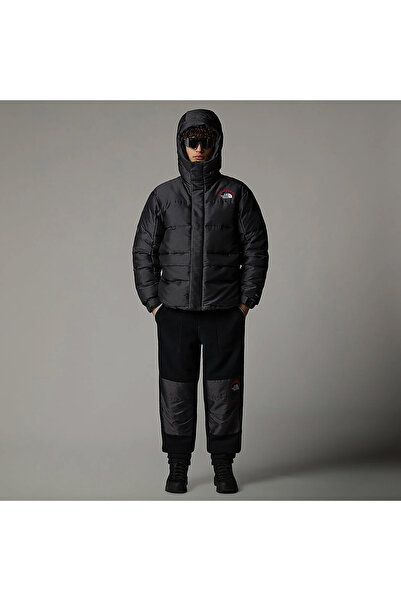 THE NORTH FACE Himalayan 30th Anniversary Erkek Gri Parka