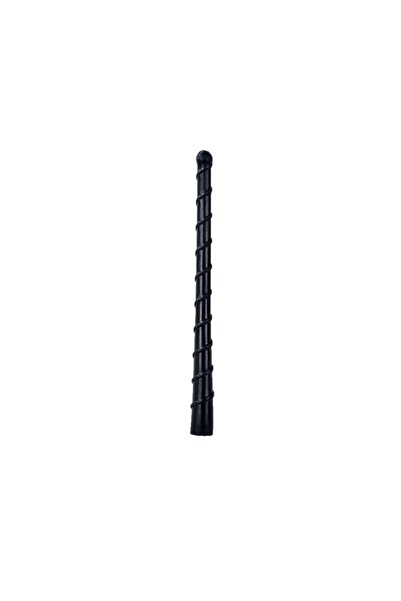 GARDENAUTO Accent Era Rear Ceiling Antenna