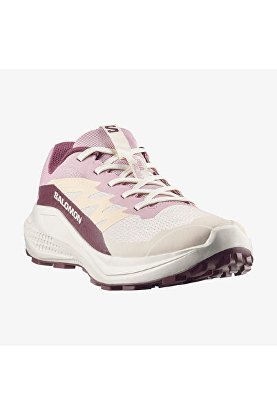 Salomon ALPHAGLIDE Kadın Koşu Ayakkabısı Tapioca L49092800