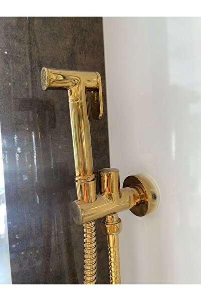 PENTAMİX TAHARET SİSTEMİ GOLD