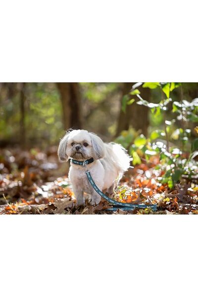 Pets First لعبة مطاطية للكلاب متينة مع حبل سحب قوي للكلاب. كرة هوكي الجليد لف...