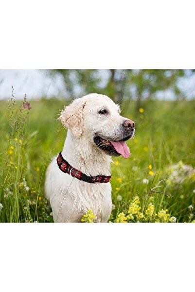 Pets First لعبة مطاطية للكلاب متينة مع حبل سحب قوي للكلاب. لعبة كرة هوكي الجل...