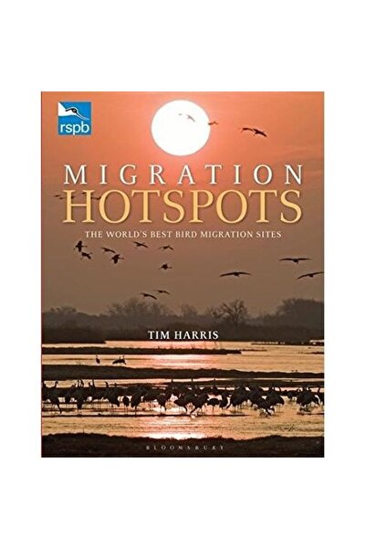 Generic (Unbranded) PUNCTE DE MIGRACIE RSPB