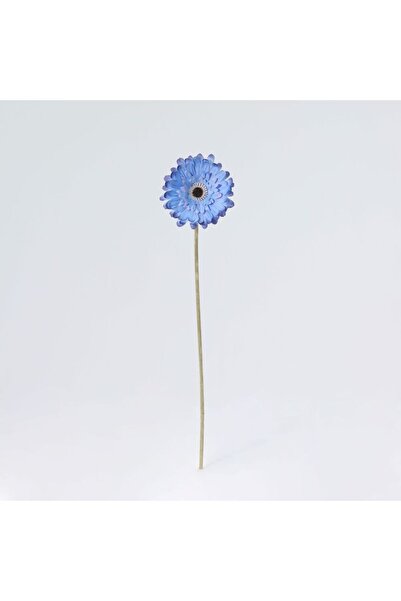 Generic New In Fernza Gerbera Daisy Single Stem Blue H52Cm