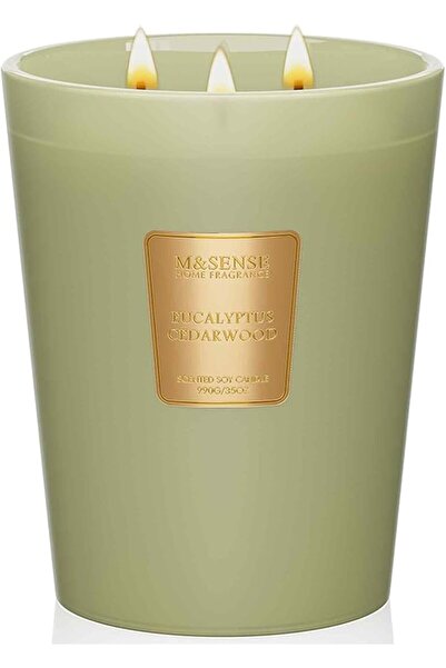 M&SENSE شمعة معطرة برائحة الأوكالبتوس وخشب الأرز، شموع طبيعية من شمع الصويا ب...