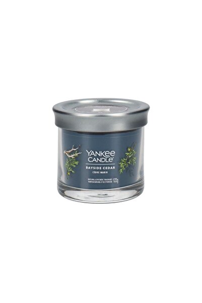Yankee Candle Κέδρος Παραθαλάσσιος (122γρ.)