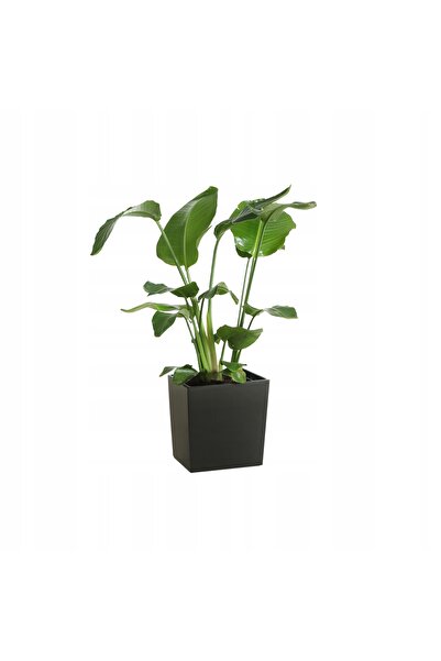 NO BRAND SET 3x Ghiveci de grădină negru lucios cu inserție 19x19cm