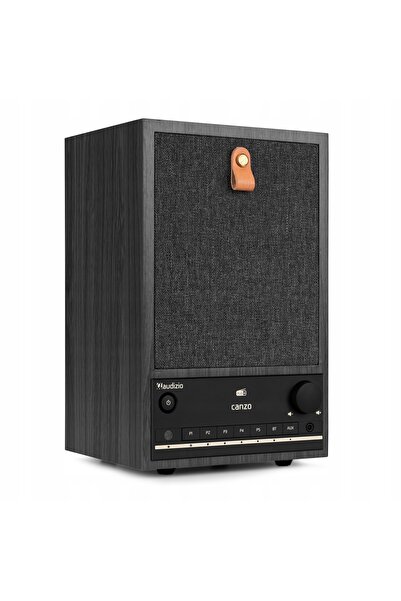 Audizio Radio internet WiFi DAB+ FM Bluetooth / Radio digital USB gri