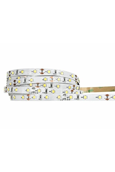 ecolight Bandă LED 60 LED-uri 50M SMD2835 IP20 Neutră