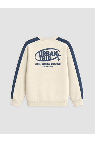 LC Waikiki Crew Neck Printed Boy's Thick Sweatshirt