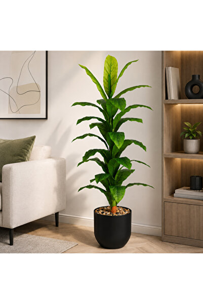 N.zone 165 cm Tall Green Tree with a Black Pot (Height 25 Cm, Diameter 24 cm)...