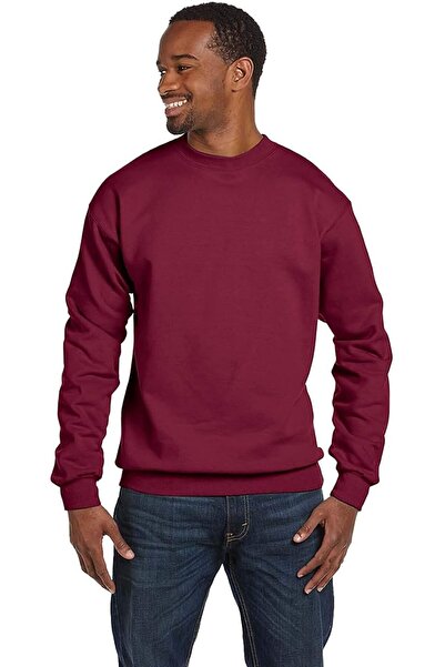 HANES Men's EcoSmart Sweatshirt