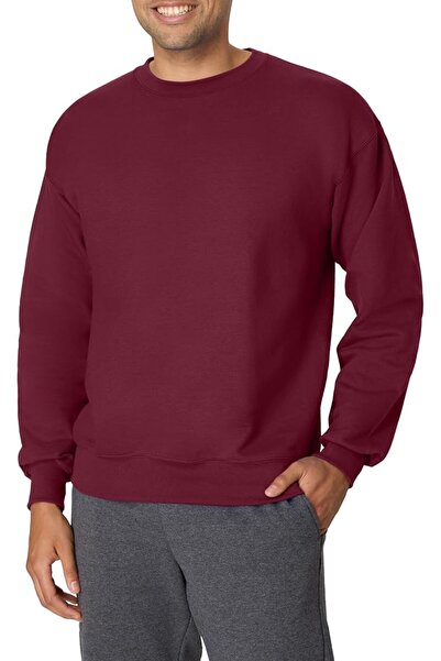 HANES mens Men's Ecosmart Fleece Sweatshirt Hooded Sweatshirt (pack of 1)