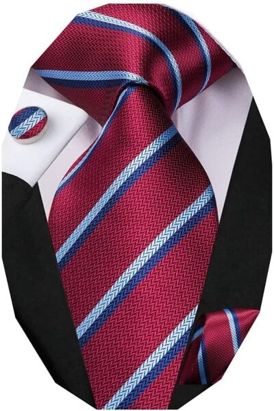 Dubulle Mens Paisely Silk Tie for Men Necktie and Pocket Square Set