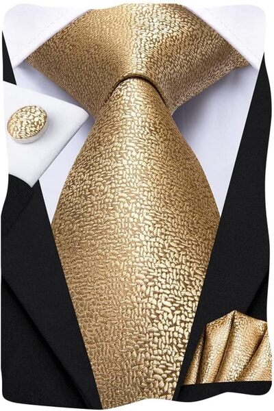 Dubulle Mens Paisely Silk Tie for Men Necktie and Pocket Square Set