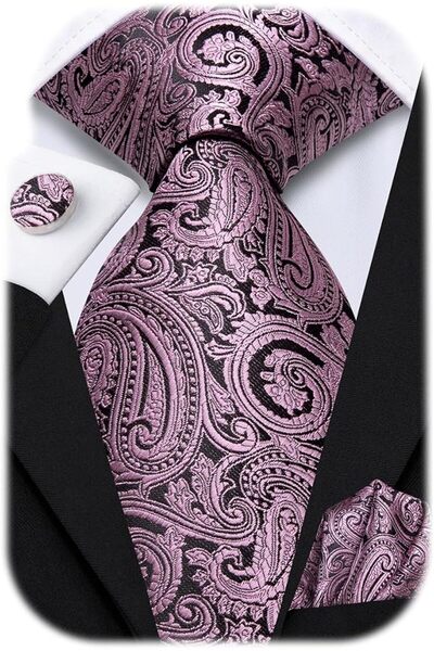 Dubulle Mens Paisely Silk Tie for Men Necktie and Pocket Square Set