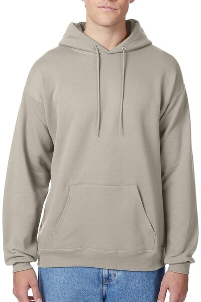 HANES mens Ecosmart Fleece Hoodie, Pullover Hooded Sweatshirt (Big & Tall Ava...