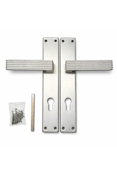 Generic Brushed Silver Door Handle Set with Long Backplate – Modern Textured ...