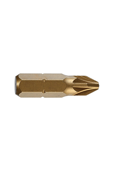 STAYER Bit TiN CVD 1/4'' DIN/ISO 1173 - Forma C 6,3 - profil Pozidriv PZ 2,L 25