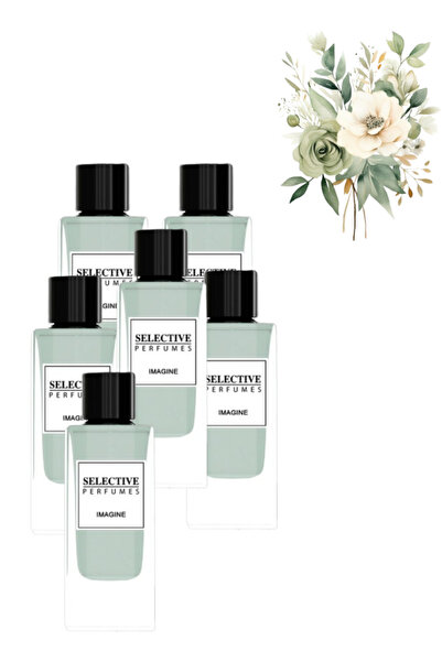 Selective 6 قطع من عطر إيماجين 85 مل