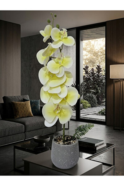 co arma Artificial Orchid Flower with Glass Vase Beautiful and Exquisite Shap...