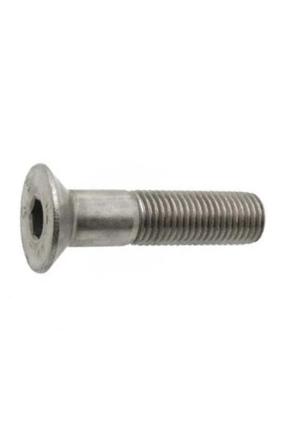 SCHAEFER Set 25 x Surub Cap Inecat Locas Inbus 7991 Inox A2-M8 X 25