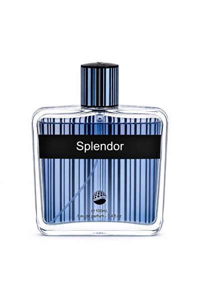 Fragrance Gallery Splendor Eau De Parfum 100ml – Long Lasting Fresh Elegant F...