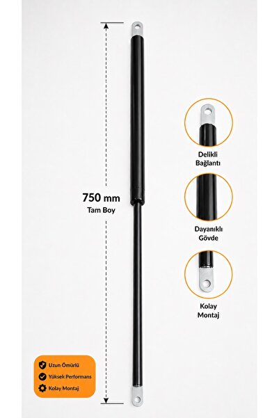 TAKA AMORTİSÖR 750 mm Gazlı Amortisör - 300 mm Strok - 10 mm Delikli Bağlantı...