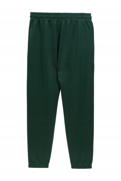 NO BRAND Pantaloni pentru bărbați Pitbull track pants Powers verde sticlă L