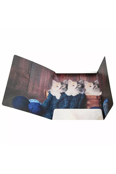 Starpak Dosar școlar A4 cu elastic Cuties KITTY x10