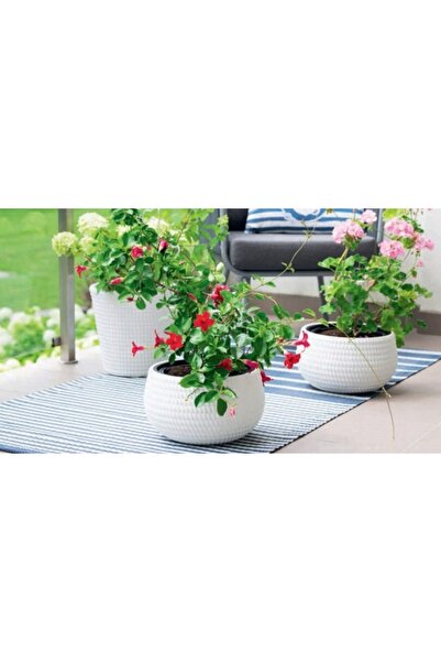 Form Plastic Ghiveci „Kula Lina”, 32 cm, înălțime: 20 cm, gri cenușiu, 4625