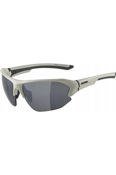 NO BRAND Ochelari ALPINA LYRON HR COOL-GREY