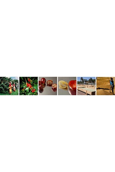 NO BRAND 2x Cafea măcinată ILLY DECAFFEINATO 100% ARABICA 250g Decofeinizată ...