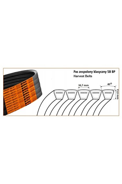 Fagum-Stomil Curea combinată tip pană 5B BP/H-3225 NH 87545651