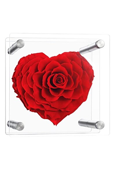 Generic Brand Forever Heart Shape Rose 4.7in Real Eternal Rose Box Fully Hand...