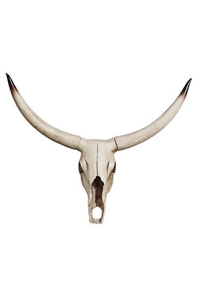 Generic Brand Notakia Gaobei Long Horn Cow Skull Wall Hanging Longhorn Steer ...