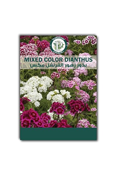 Generic Dianthus Mix Flower Seeds for Planting – Mixed Color Dianthus Flower ...