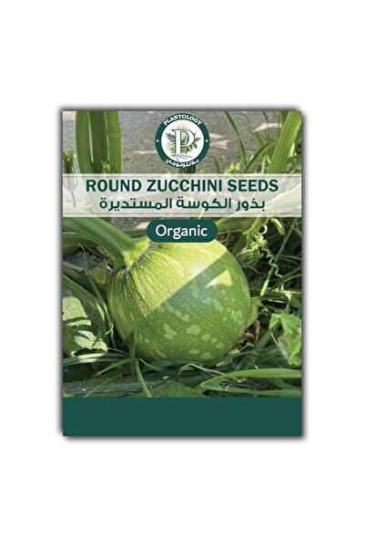 Generic Round Zucchini Seeds for Planting – Round Zucchini Squash Seeds – Hom...
