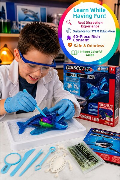 TOYFEST مجموعة أدوات تشريح سمك القرش من سوبر شارك لاب، 40 قطعة، لعبة تعليمية ...
