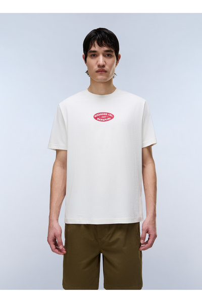 Napapijri S-FLINT SS-NP0A4FZZFX31 Krem Yuvarlak Regular Fit Baskılı Erkek T-S...