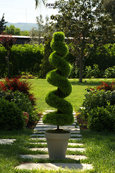 Dekorsende Yapay Spiral Selvi Ağacı 160 cm