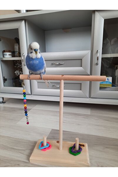 SAKAPET Wooden Parrot Perch t Perch with Extra Interactive Features ('Love Bird, Paradise, Forpus, Sevda Parrot')