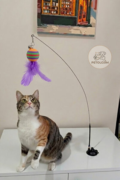 Petolojim Zilli Tüylü-Toplu Vantuzlu Kedi Oyuncağı